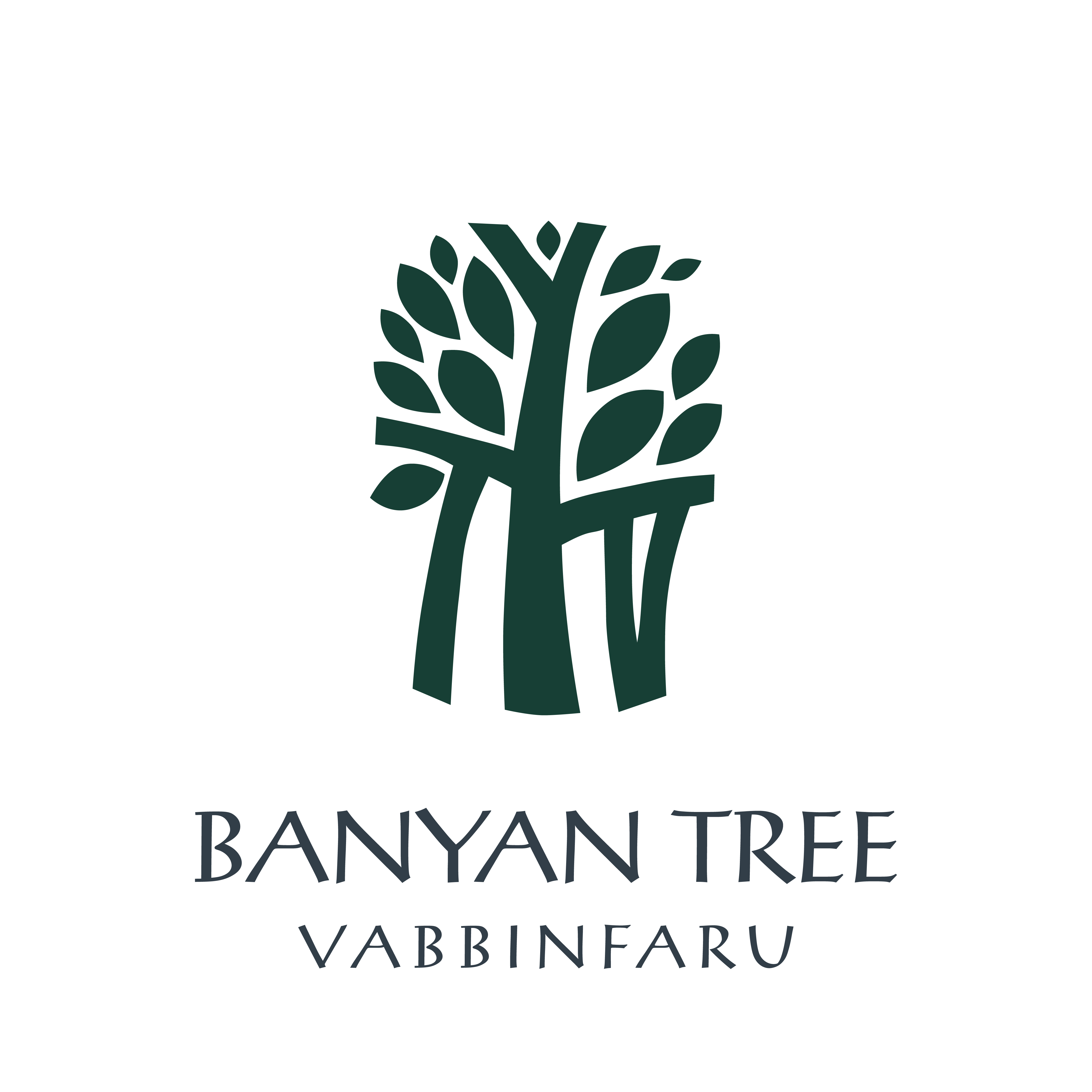 Banyan Tree Vabbinfaru, Maldives