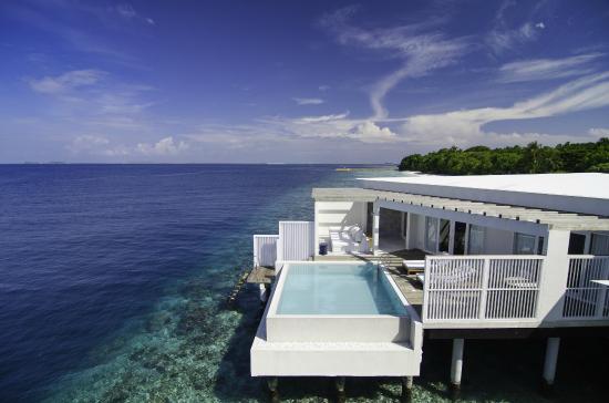 Amilla Fushi